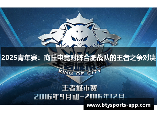 2025青年赛：商丘电竞对阵合肥战队的王者之争对决