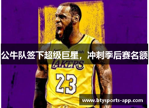 公牛队签下超级巨星，冲刺季后赛名额